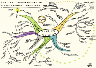 Mind map Vie du site Pauliane vie étudiante