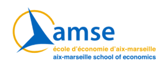 Site web de l'AMSE