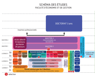 schéma des études FEG-FEV23